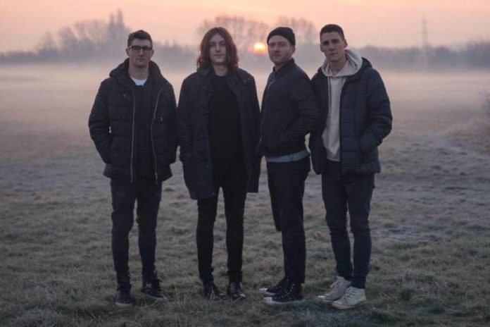 music-allnew-Slowlights