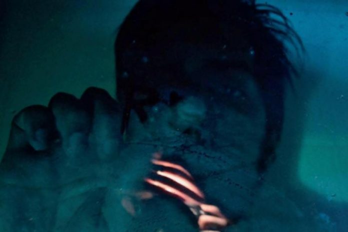 music-allnew-Freddie-Lord