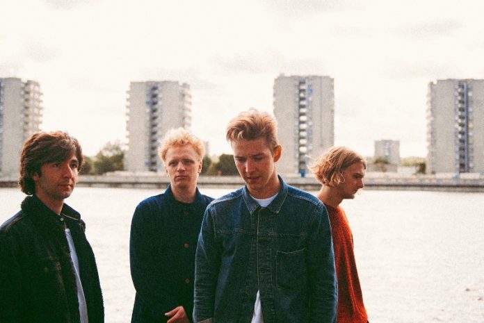 music-allnew-Stereo-Honey Stereo Honey