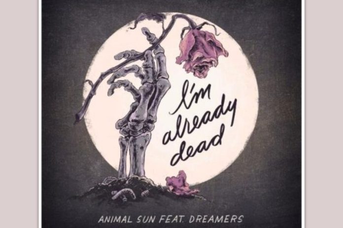 music-allnew-Animal-Sun Animal Sun