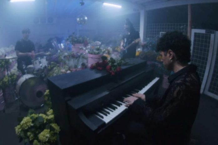 music-allnew-Nightly, 6 Nightly